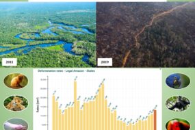 Human Caused Climate Change: Fact or Fiction?