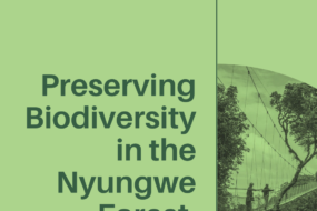 Preserving Biodiversity in the Nyungwe Forest