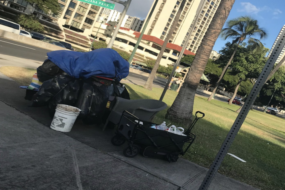 Homelessness in Paradise