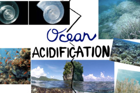 Acidification