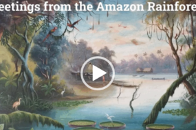 The Amazon…